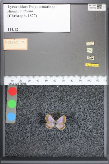 Media type: image;   Entomology 53992